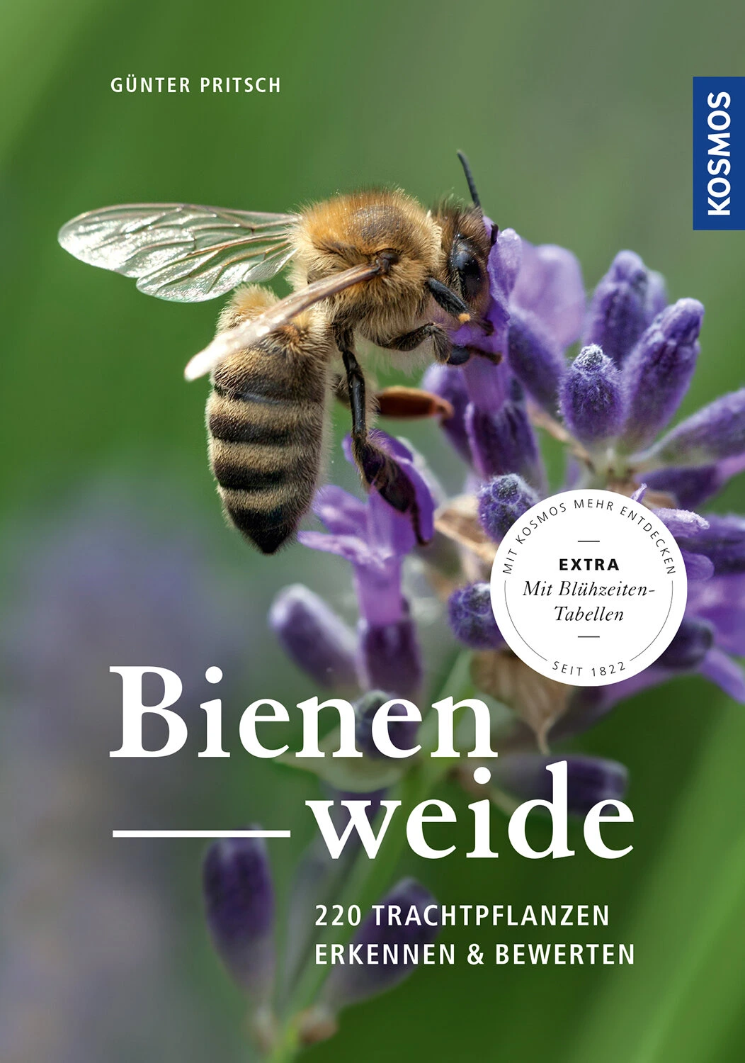 Bienenweide, Günter Pritsch